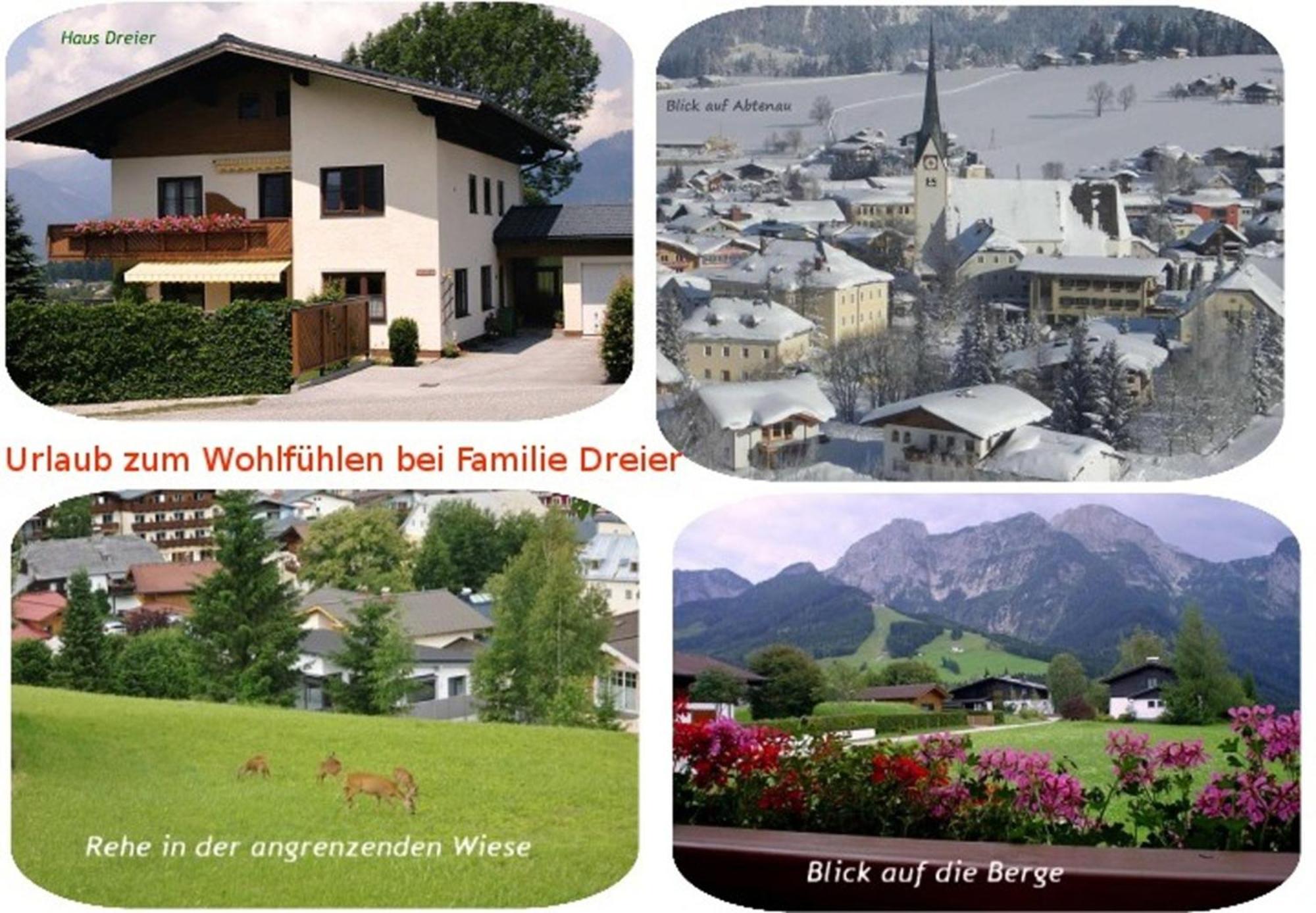 Apartment Dreier - Salzburger Land Abtenau Exterior photo
